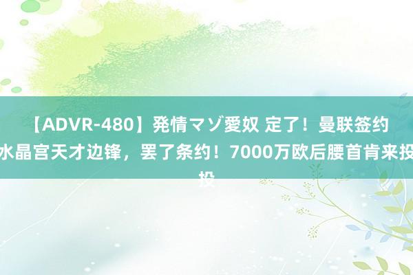 【ADVR-480】発情マゾ愛奴 定了！曼联签约水晶宫天才边锋，罢了条约！7000万欧后腰首肯来投