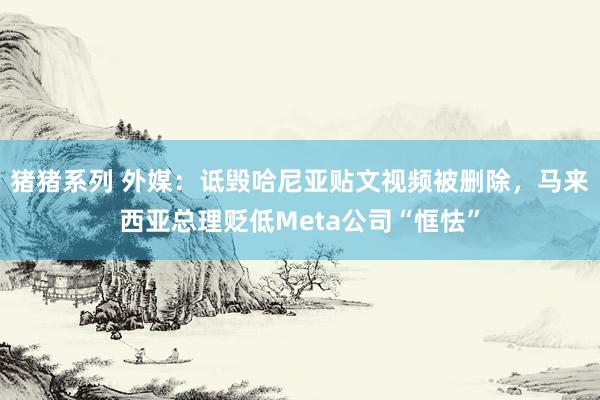猪猪系列 外媒：诋毁哈尼亚贴文视频被删除，马来西亚总理贬低Meta公司“恇怯”