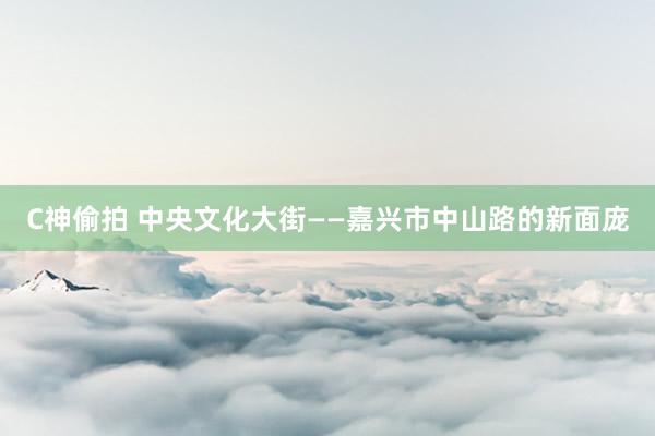 C神偷拍 中央文化大街——嘉兴市中山路的新面庞