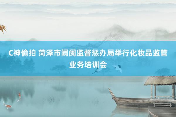 C神偷拍 菏泽市阛阓监督惩办局举行化妆品监管业务培训会