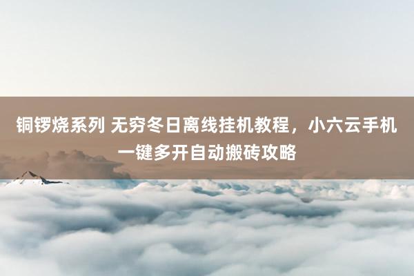 铜锣烧系列 无穷冬日离线挂机教程，小六云手机一键多开自动搬砖