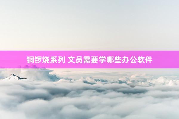 铜锣烧系列 文员需要学哪些办公软件