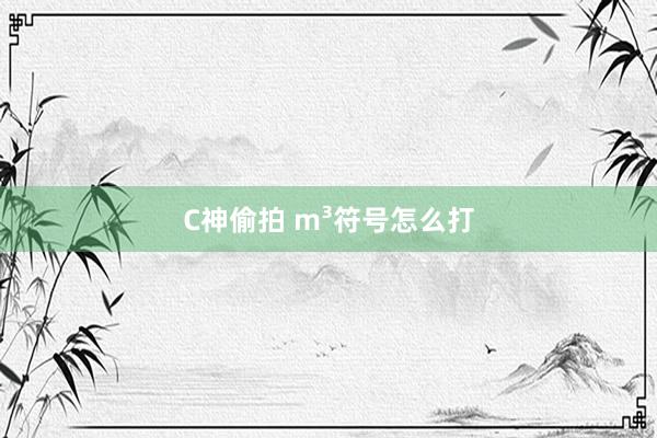 C神偷拍 m³符号怎么打