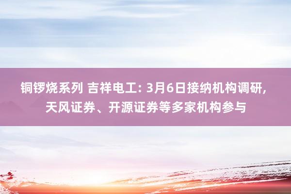 铜锣烧系列 吉祥电工: 3月6日接纳机构调研, 天风证券、开