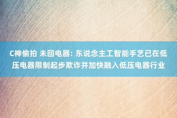 C神偷拍 未回电器: 东说念主工智能手艺已在低压电器限制起步