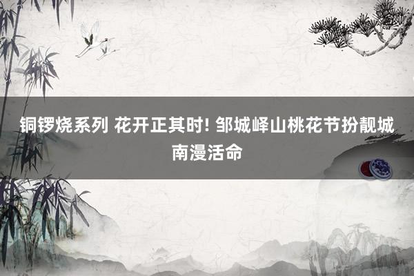 铜锣烧系列 花开正其时! 邹城峄山桃花节扮靓城南漫活命