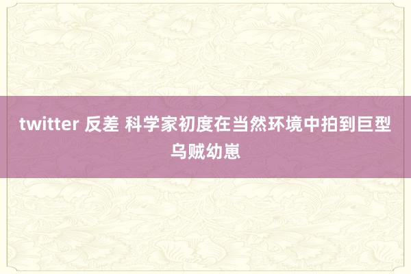 twitter 反差 科学家初度在当然环境中拍到巨型乌贼幼崽