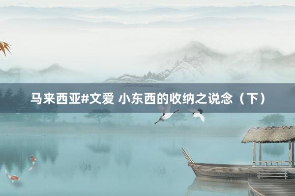 马来西亚#文爱 小东西的收纳之说念（下）