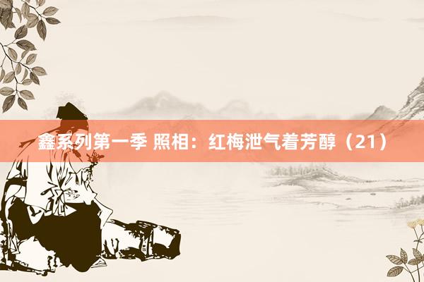 鑫系列第一季 照相：红梅泄气着芳醇（21）