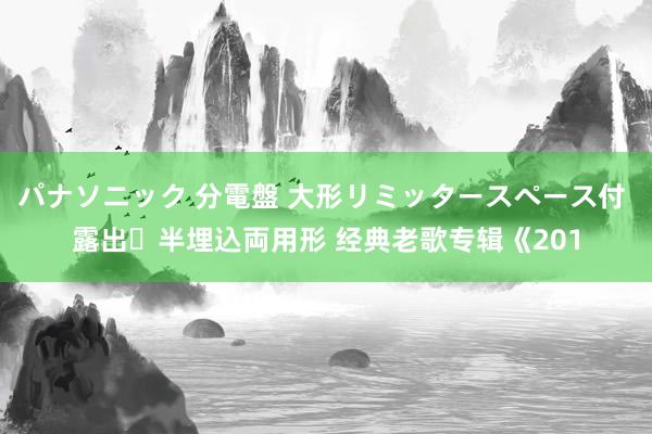 パナソニック 分電盤 大形リミッタースペース付 露出・半埋込